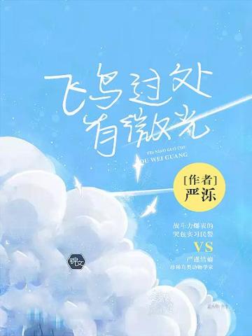 飛鳥過處有微光