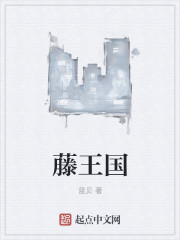 藤王國